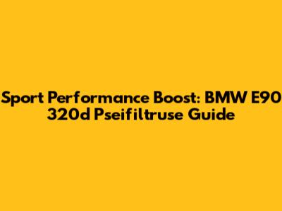 Sport Performance Boost: BMW E90 320d Pseifiltruse Guide