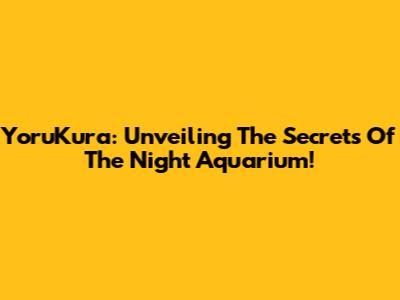 YoruKura: Unveiling The Secrets Of The Night Aquarium!